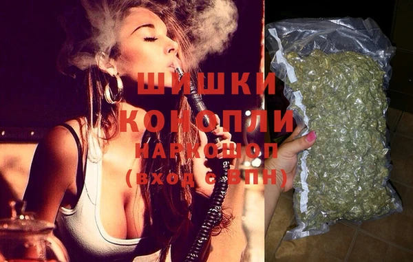 индика Покачи