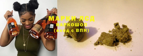 PSILOCYBIN Аркадак