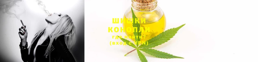 PSILOCYBIN Аркадак
