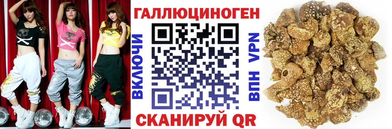 Галлюциногенные грибы Psilocybe  где найти   Пучеж 